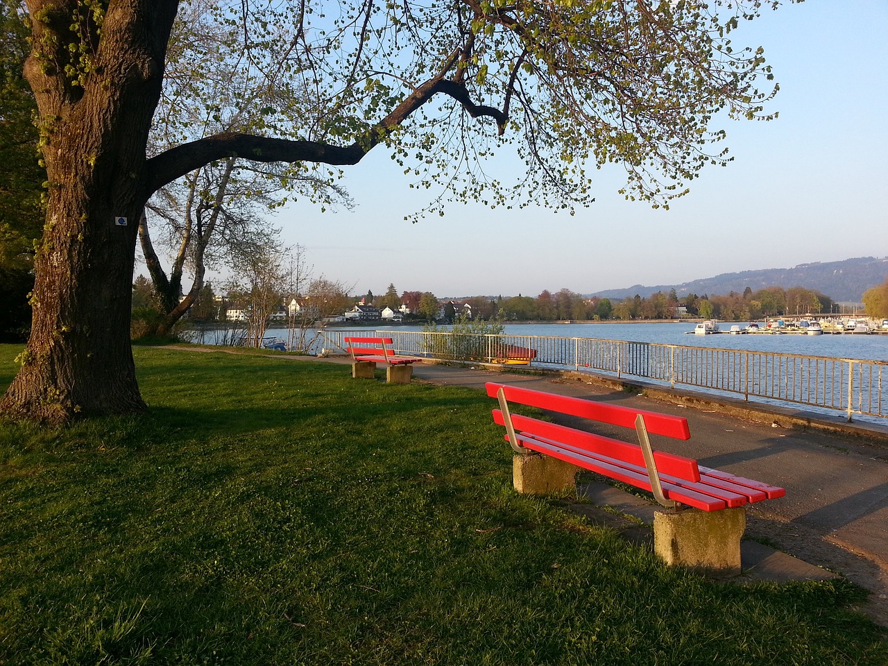 双重体验的 双重体验的