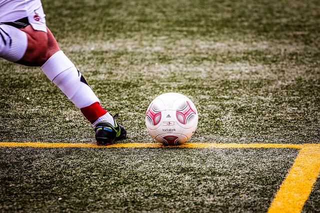 动发展的成 动发展的成