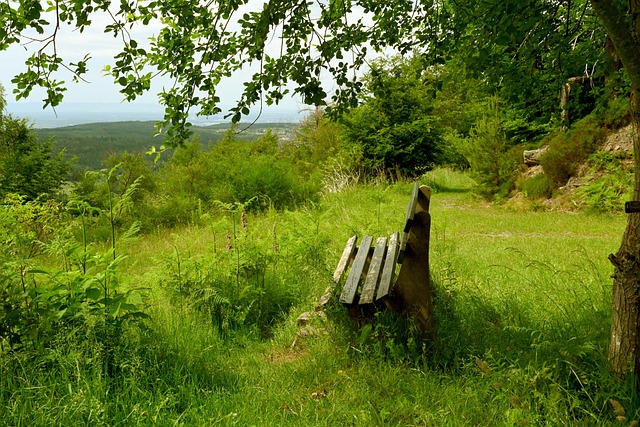 城市的建设 城市的建设