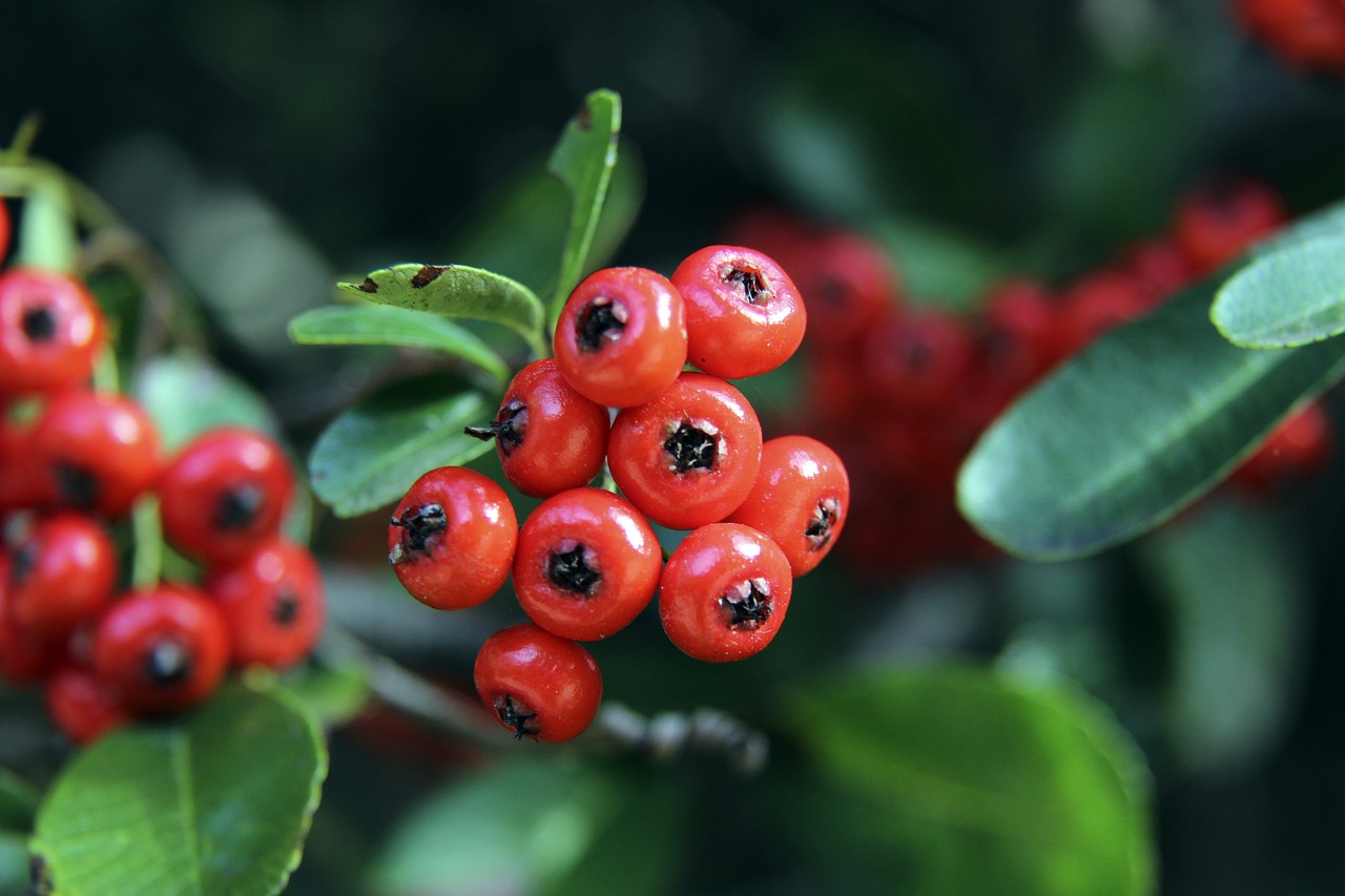 都让人对后 都让人对后