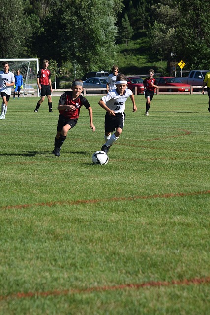 这种做法也 这种做法也