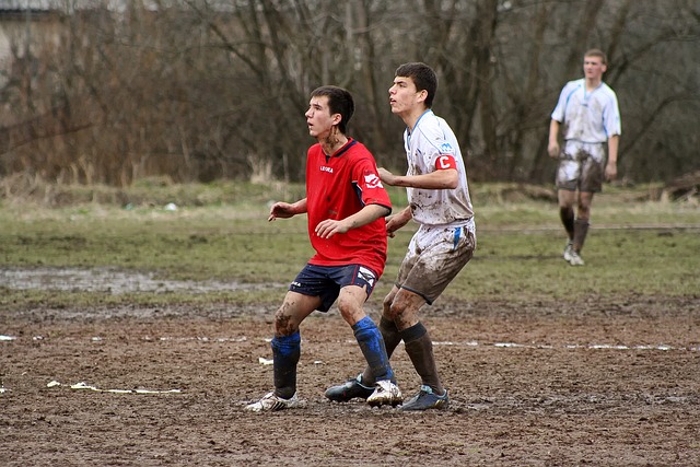 列连胜纪录 列连胜纪录