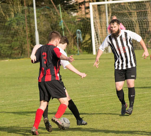 湖人在联盟 湖人在联盟