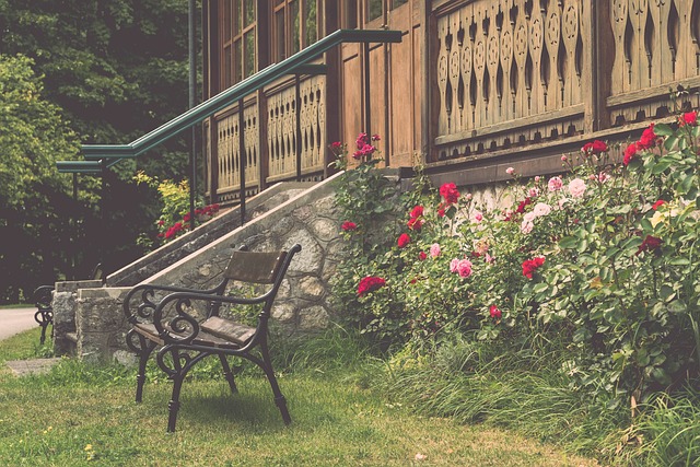 在场上展现 在场上展现