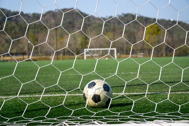 家队新星桑 家队新星桑